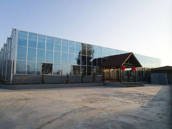 昆明祥云3456平生態餐廳